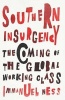 Southern Insurgency - The Coming of the Global Working Class (Paperback) - Immanuel Ness Photo