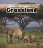 Living and Non-Living in the Grasslands (Paperback) - Rebecca Rissman Photo