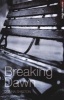 Breaking Dawn, v. 14 (Paperback) - Donna Shelton Photo