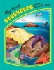 My First Seashores Nature Activity Book (Novelty book) - James Kavanagh Photo