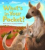 What's in Your Pocket (Paperback) - Ruth Symons Photo