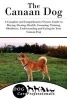 The Canaan Dog - A Complete and Comprehensive Owners Guide To: Buying, Owning, Health, Grooming, Training, Obedience, Understanding and Caring for Your Canaan Dog (Paperback) - Dog Care Professionals Photo