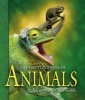 The Encyclopedia of Animals - A Complete Visual Guide (Hardcover, New) - George McKay Photo