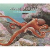 About Mollusks - A Guide for Children (Paperback) - Cathryn P Sill Photo