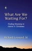 What are We Waiting for? (Paperback) - Richard Leonard Photo