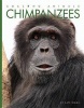 Chimpanzees (Paperback) - Kate Riggs Photo