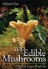 100 Edible Mushrooms (Paperback) - Michael Kuo Photo