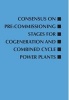 Consensus on Pre-Commissioning Stages for Cogeneration and Combined Cycle Power Plants (Paperback) - Roger W Light Photo