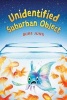 Unidentified Suburban Object (Hardcover) - Mike Jung Photo