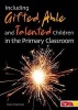 Including Gifted, Able and Talented Children in the Primary Classroom (Paperback) - Mike Fleetham Photo