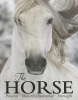 The Horse - Passion, Beauty, Splendor, Strength (Hardcover) - Elaine Walker Photo