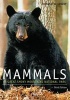 Mammals of Great Smoky Mountains National Park (Paperback, 3rd Revised edition) - Donald W Linzey Photo