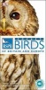 RSPB Pocket Birds (Paperback, 3 Rev Ed) - Dk Photo