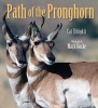 Path of the Pronghorn (Hardcover) - Cat Urbigkit Photo