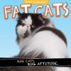 Fat Cats (Calendar) - Kate Jackson Photo