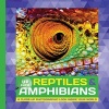 Reptiles & Amphibians - A Close-Up Photographic Look Inside Your World (Hardcover) - Heidi Fiedler Photo