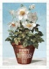 Potted Flowers - Mother's Day Greeting Card (Cards) - Blue Lantern Publishing Photo