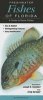 Freshwater Fishes of Florida - A Guide to Game Fishes (Poster) - Joseph R Tomelleri Photo