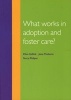 What Works in Adoption and Foster Care? (Paperback, Rev Ed) - Clive Sellick Photo