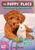 Bubbles and Boo (the Puppy Place #44) (Paperback) - Ellen Miles Photo