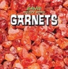 Garnets (Hardcover) - Amy Hayes Photo