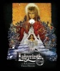 Labyrinth (Hardcover) - Paula M Block Photo