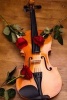 A Violin and Three Red Roses Journal - 150 Page Lined Notebook/Diary (Paperback) - Cs Creations Photo