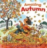 Amazing Autumn (Paperback) - Jennifer Marino Walters Photo