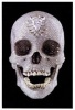 For the Love of God - The Making of the Diamond Skull (Hardcover) - Damien Hirst Photo