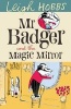 Mr Badger and the Magic Mirror (Paperback) - Leigh Hobbs Photo