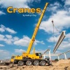 Cranes (Hardcover) - Mira Vonne Photo