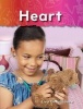 Heart - The Human Body (Paperback) - Lisa Greathouse Photo