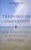 Training in Compassion - ZEN Teachings on the Practice of Lojong (Paperback, New) - Norman Fischer Photo