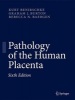 Pathology of the Human Placenta (Hardcover, 6th ed. 2012) - Kurt Benirschke Photo