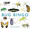 Bug Bingo (Mixed media product) - Christine Berrie Photo