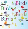 Birds Birds Birds Birds (Paperback) - Siri Urang Photo