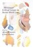 Critical Issues in Social Work Law (Paperback) - Jane Boylan Photo