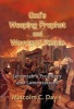 God's Weeping Prophet and Wayward People - Jeremiah's Prophecy and Lamentations (Paperback) - Malcolm Davis Photo