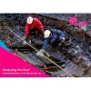 Renewing the Past - Unearthing the History of the Olympic Park Site (Paperback) - Andrew B Powell Photo