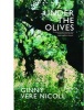 Under the Olives (Paperback) - Nicoll Ginny Virginia Vere Photo