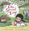 One Special Day - A Story for Big Brothers & Sisters (Hardcover) - Lola Schaefer Photo