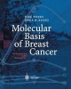 Molecular Basis of Breast Cancer - Prevention and Treatment (Paperback, Softcover reprint of the original 1st ed. 2004) - Jose Russo Photo