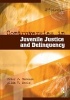 Controversies in Juvenile Justice and Delinquency (Paperback, 2nd Revised edition) - Peter J Benekos Photo