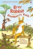 Brer Rabbit and the Blackberry Bush (Hardcover) - Louie Stowell Photo