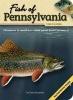 Fish of Pennsylvania Field Guide (Paperback) - Dave Bosanko Photo