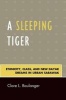 A Sleeping Tiger - Ethnicity, Class, and New Dayak Dreams in Urban Sarawak (Paperback) - Clare L Boulanger Photo