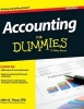 Accounting for Dummies (Hardcover, 5th) - John A Tracy Photo