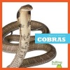 Cobras (Hardcover) - Vanessa Black Photo