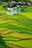 Green Valley Rice Field at Bukit Tinggi West Sumatra Indonesia Journal - 150 Page Lined Notebook/Diary (Paperback) - Cool Image Photo