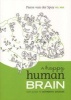 A Happy Human Brain - Our Guide to Authentic Success (Paperback) - Pierre van der Spuy Photo